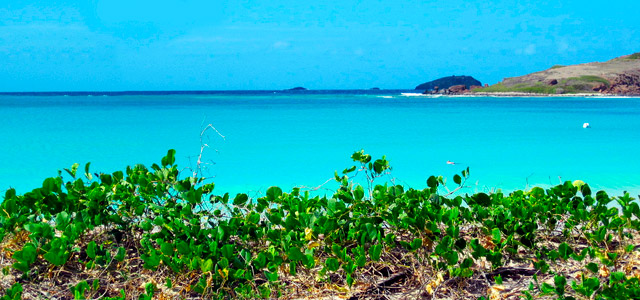 Conheça a Playa Tortugas no Pacote Cancun 